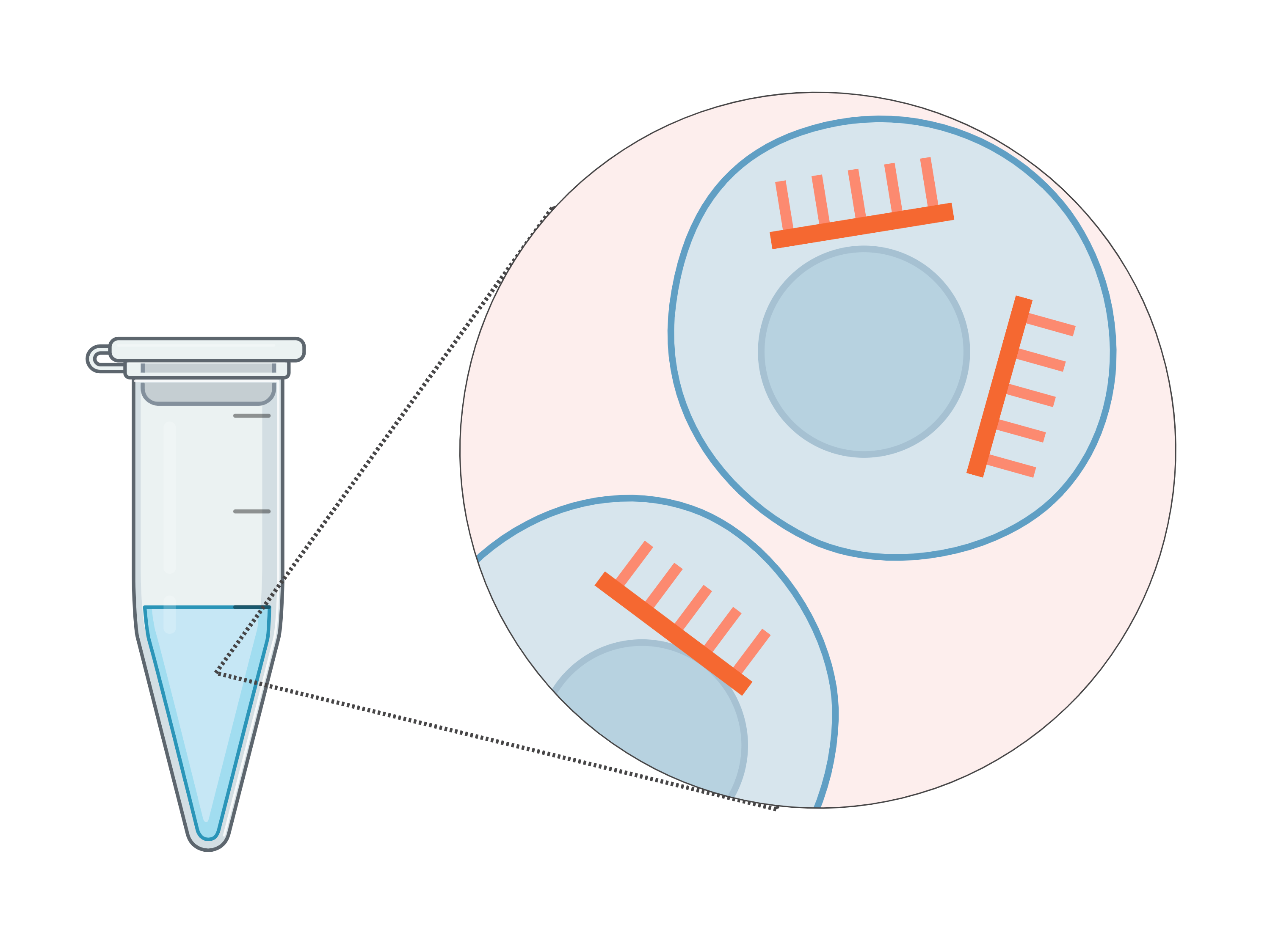 Two new products for ultralow input RNA purification and RNA fragmentation 