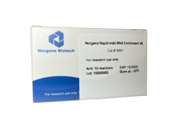 Norgene Rapid m6A RNA Enrichment Kit