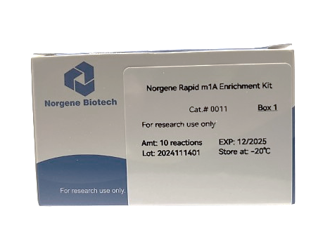 Norgene Rapid m1A RNA Enrichment Kit